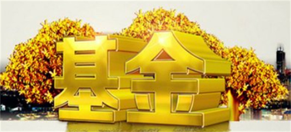 基金是一天更新一次吗