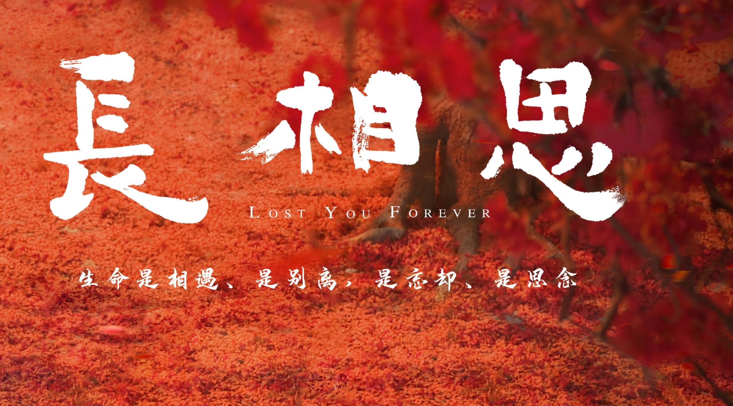 长相思原著小说叫什么在哪里看 长相思免费阅读全文在线