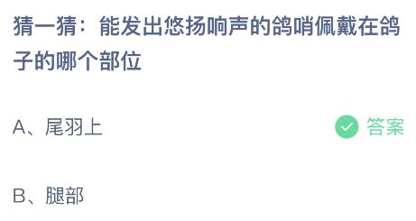 能发出悠扬响声的鸽哨佩戴在鸽子的哪个部位  蚂蚁庄园7月26日答案最新