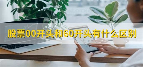 股票00和60开头的区别是什么