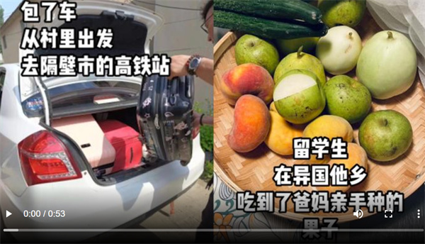 60后父母出国看女儿