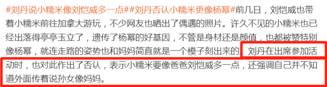 阴阳怪气？刘丹说小糯米更像刘恺威 避谈母女俩是否有联系