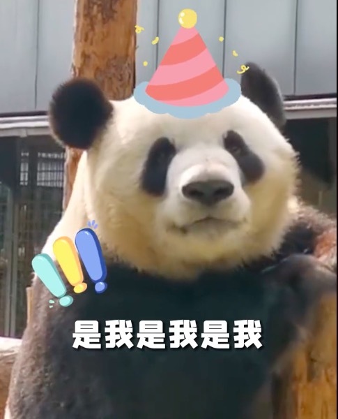 萌兰花花和叶生日快乐！萌兰的蛋糕很丰盛，花花叶子蛋糕唯美！