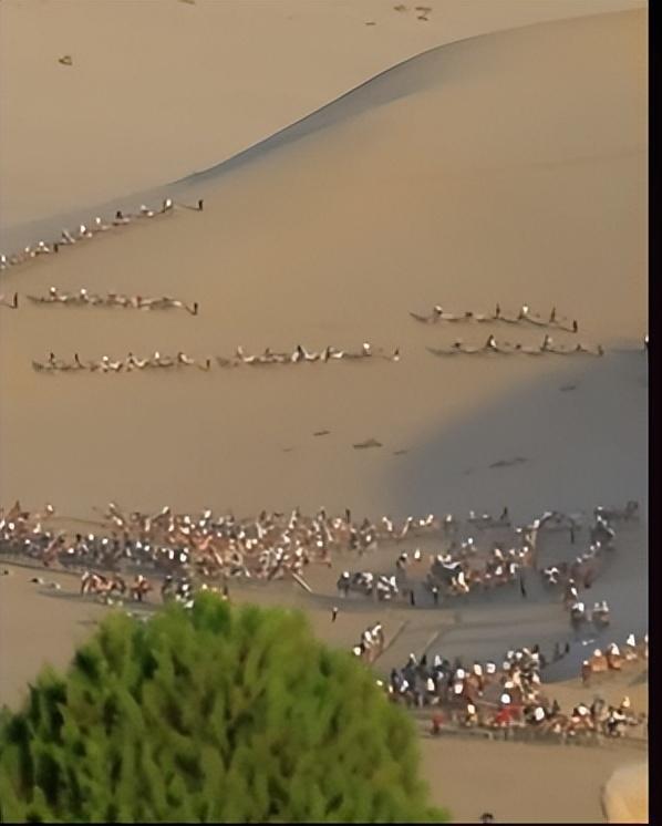 敦煌骆驼疑似被人骑死了！ 骆驼倒地累到痛苦哀嚎，景区已暂停此项目