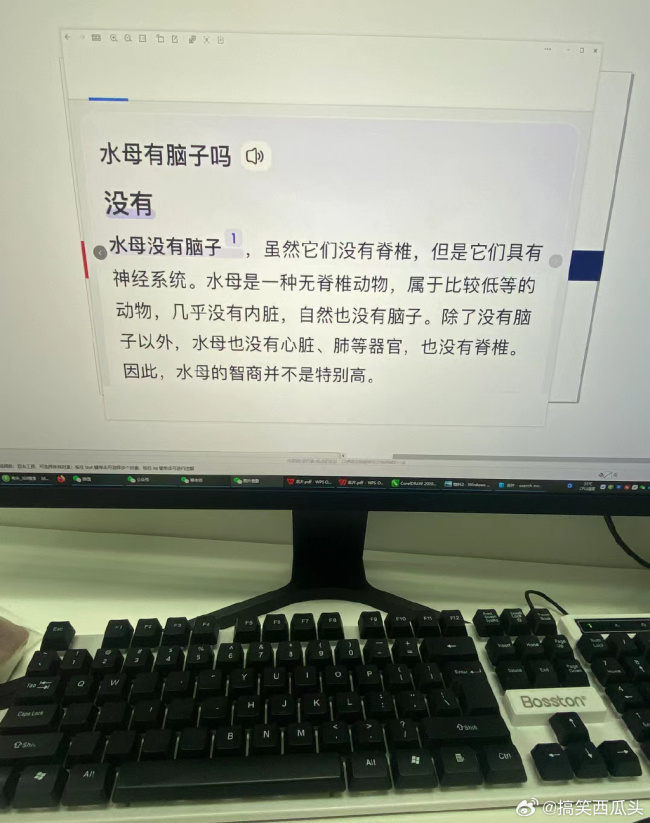 职场水母是什么意思？