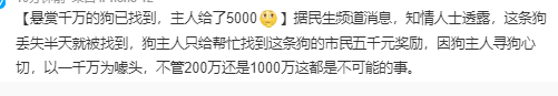 1000万变5000？ 悬赏千万的狗已找到 主人给了5000