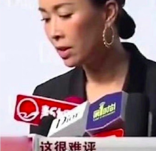 “正式确诊为那英”什么梗?  永远不会对那姐的嘴失望！