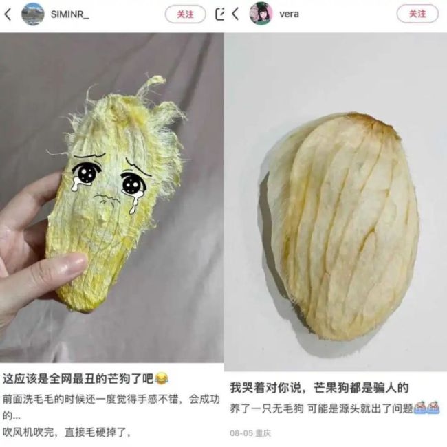 芒狗是什么梗 芒狗怎么做才能毛茸茸的