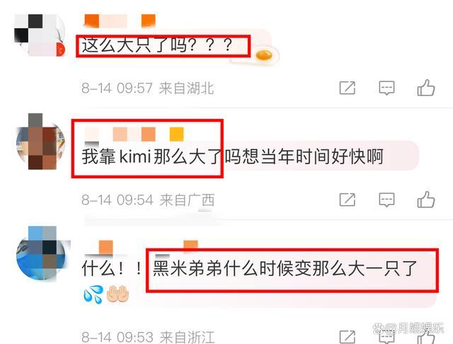 渐成男子汉了！kimi侧脸近照曝光，完美继承了父亲颜值，帅气十足！