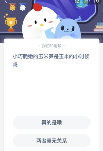 小巧脆嫩的玉米笋是玉米的小时候吗 蚂蚁庄园7月31日答案最新