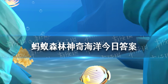 海豚为什么跳出水面 神奇海洋今日答案8.7最新