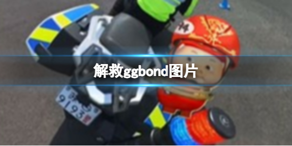 解救ggbond图片 ggbond意思介绍