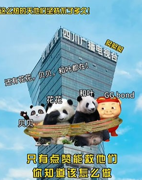 解救ggbond图片 ggbond意思介绍
