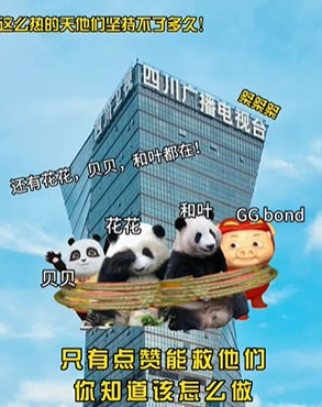 解救ggbond表情包 ggbond表情包大全