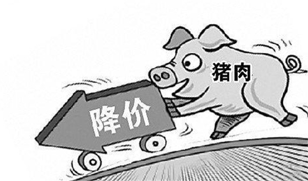 本周生猪价格微降