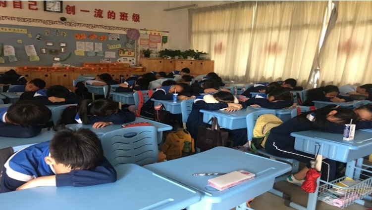 学生趴桌午休1学期收费200