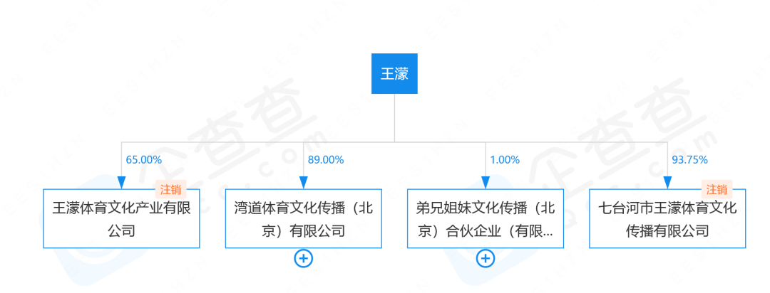 王濛所持445万股权被冻结 王濛被带走调查？体育记者辟谣