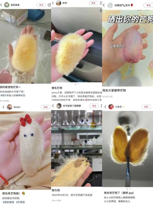 芒狗是什么梗 芒狗怎么做才能毛茸茸的