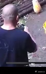 相亲相爱！谭爷爷的手机屏保是花花