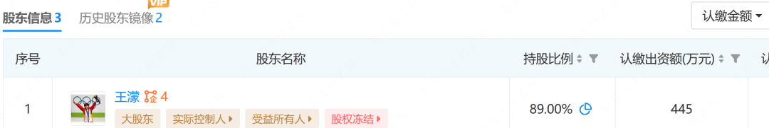 王濛所持445万股权被冻结 王濛被带走调查？体育记者辟谣