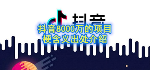 8000万项目什么意思 8000万项目含义及出处介绍