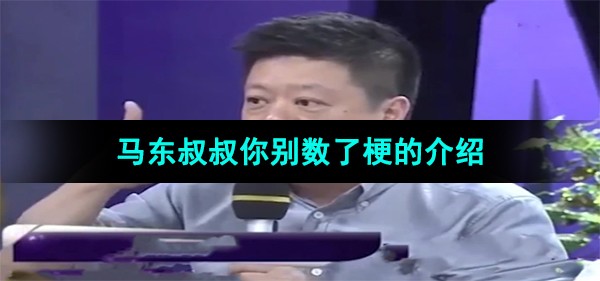 马东叔叔你别数了是什么节目 马东叔叔你别数了意思及出处介绍