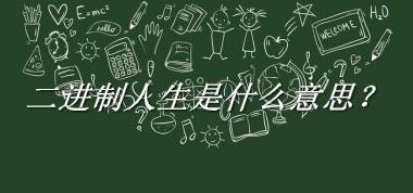 二进制人生是什么意思 二进制人生意思及出处介绍