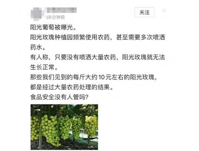 “阳光玫瑰”不安全是真的吗？ 吃一颗=吃24遍农药？专家回应