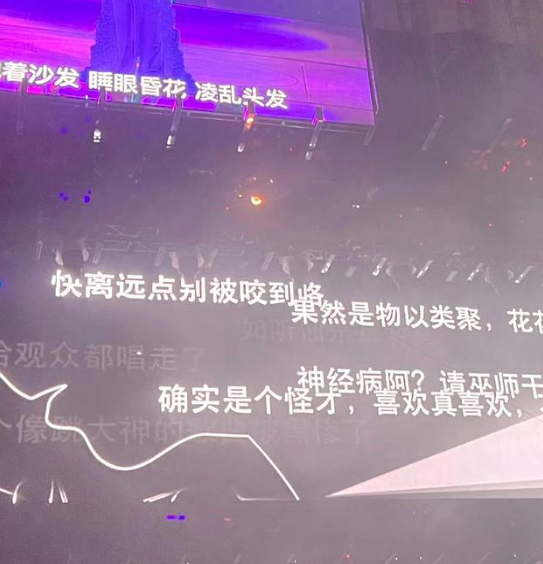 华晨宇演唱会大屏背景是恶评 花花的回应来了！