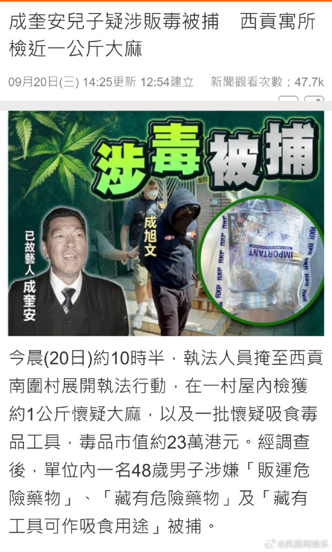 已故男星成奎安儿子因藏毒被捕 大麻重量高达两斤