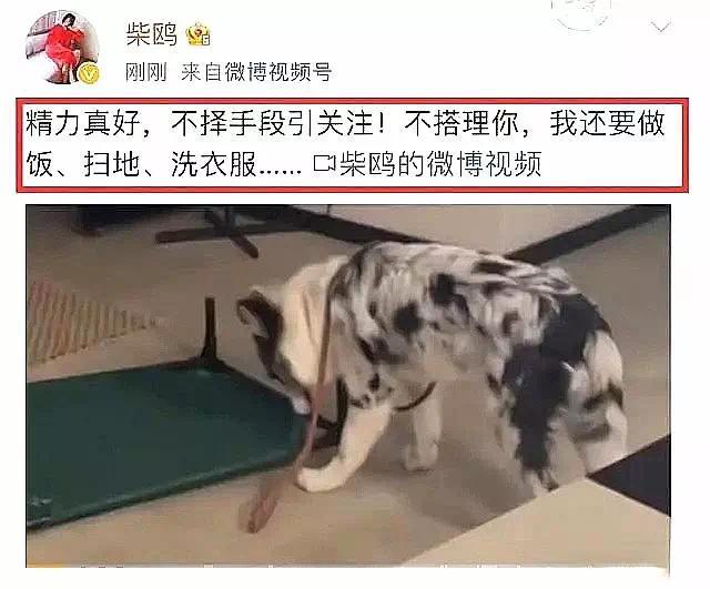 孙菲菲发文喊话导演张汉杰老婆:“不择手段,叫嚣要打死我”