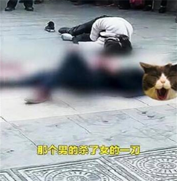 男子当街刺伤女友后自残