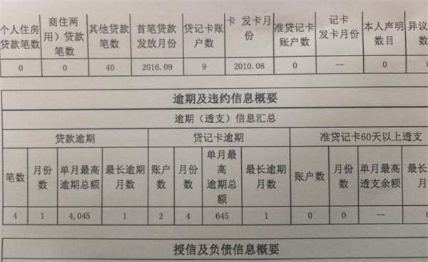 白条账单逾期是否会导致个人征信记录被清空