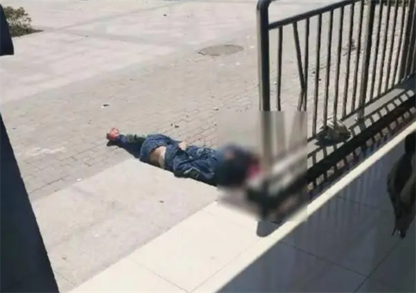 湖北一小学生在家跳楼身亡