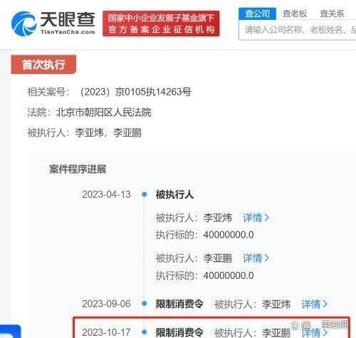李亚鹏被限制高消费 李亚鹏及哥哥已被强制执行4000万