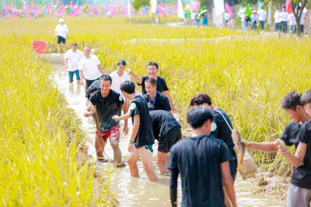 稻花香里话丰年 第五届中国·辰溪稻花鱼文化节开幕