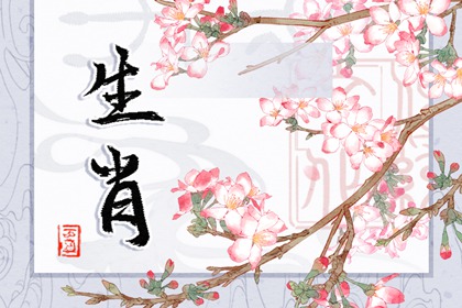 2024各生肖的运势 整体运势分析