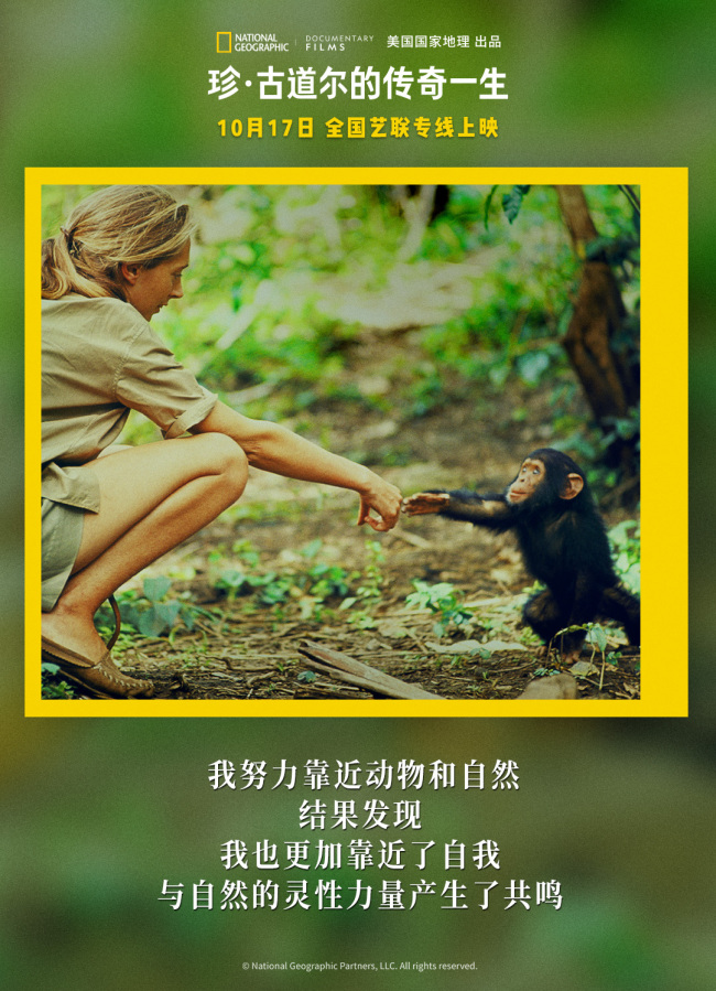 《珍·古道尔的传奇一生》上映 传奇女性鼓舞观众