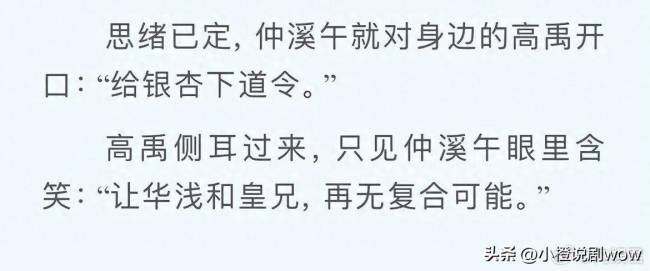 《为有暗香来》银杏是谁 银杏是家主的人吗?