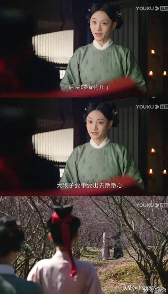《为有暗香来》银杏是谁 银杏是家主的人吗?