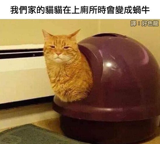 弹性不错但动作能再大点么 囧图 对准了结果还是插不进