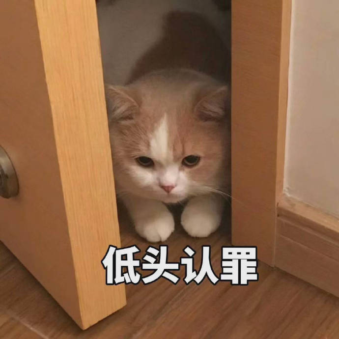 小猫牢底什么意思 小猫牢底出处及表情包介绍