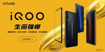 iqoo12什么时候出售_iQOO12什么时候上市