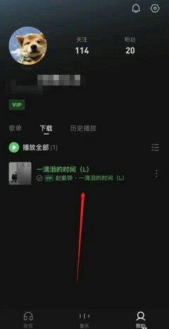 汽水音乐文件管理中哪里可以找到_汽水音乐下载的歌曲怎么导出