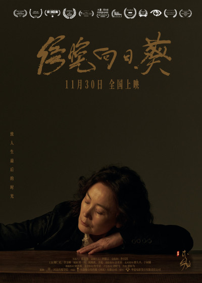 11月30日看《傍晚向日葵》将如何谱写一首生命之诗
