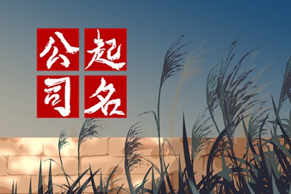 开教育公司叫什么名字好 吉祥大气的教育公司名称