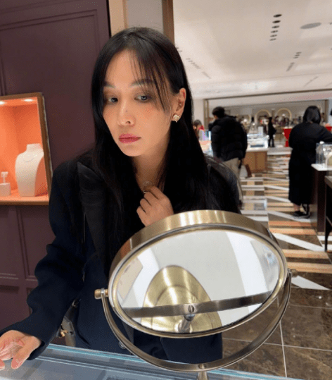 涉嫌偷税漏税的韩国顶级明星是张东健妻子高小英
