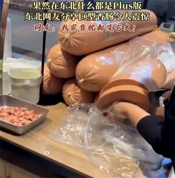 东北的食物一直这么大吗