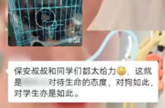 高校为了救狗放掉了护校河的水