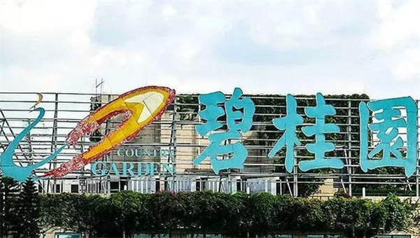 碧桂园杨惠妍有何态度